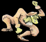 Avarre